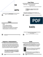 Estructuras RAID PDF INFO