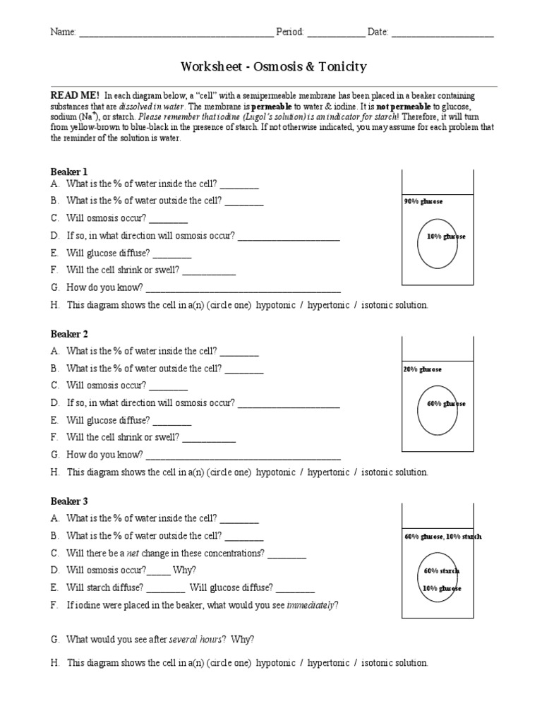 hypertonic hypotonic isotonic worksheet with answers Inside Osmosis And Tonicity Worksheet