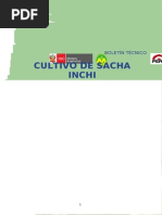 Sacha Inchi