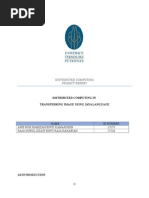 Distributed Computing Project Report