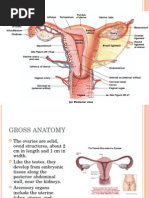 The Female Reproductive System