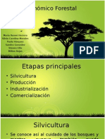 TALLER # 4ciclo Económico Forestal