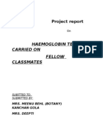Project Report On Haemoglonin