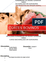 Cortes Bovinos