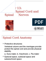 The Spinal Cord and Spinal Nerves