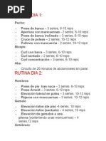 Rutina Arnold Split Definitiva | PDF