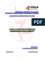 Manual Practicas MicroPIC (2).doc
