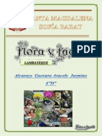 Flora y Fauna Lambayecana