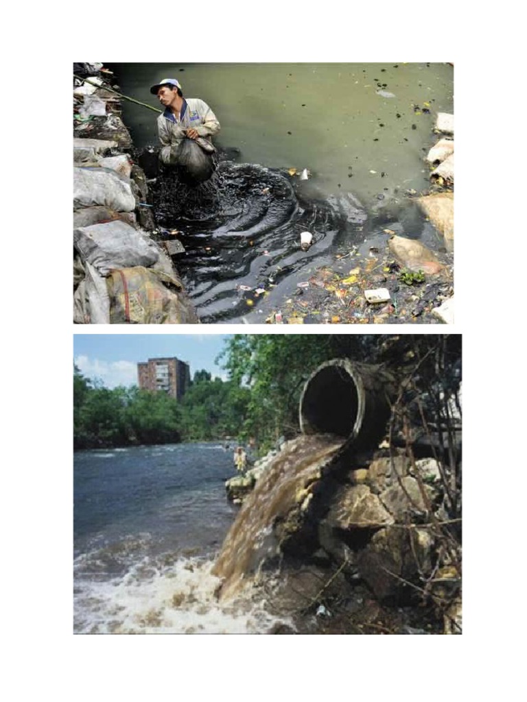Causas y Consecuencias de La Contaminación Ambiental