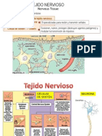 Fisiologia Del Sistema Nervioso