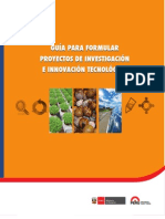 Guia Formular PIIT PDF