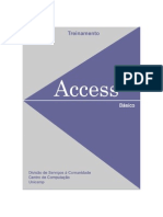 access_basico_2000.pdf