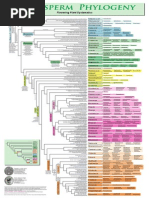 Download Apg 3 Poster by Dianne Bernadeth Cos-agon SN283402866 doc pdf