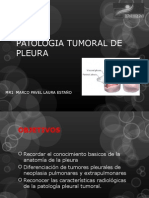 Patologia Tumoral Pleural Mple