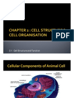 2.1 Cell Structure &amp Function