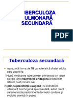 2 Tuberculoza Secundara Rom 2015