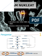 Asam Nukleat