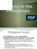 Philippine Forests