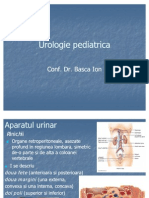 Curs Urologie Pediatrica