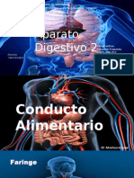 Digestivo 2