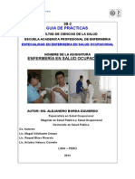 Guia Practica Espec Salud Ocupa- V2 II-2013