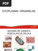 Citoplasma e Ornganelas Celulares