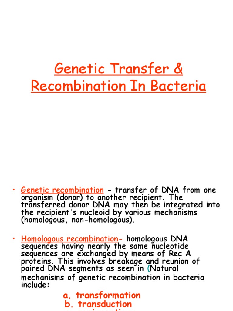Genetic Recombination Pdf Bacteriophage Plasmid