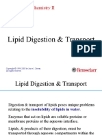 Lipid Digestion and Absorption