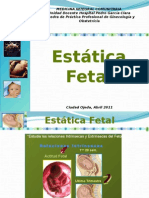 Estática fetal: relaciones intrínsecas y extrínsecas del feto