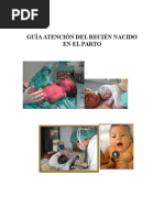 Guia Atencion Del RN