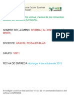 Investigar y Conocer Los Iconos y Teclas de Los Comandos Básicos Del Software AUTOCAD