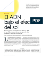 El ADN Bajo El Efecto Solar