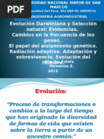 Evolucion 