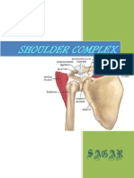 Shoulder Complex