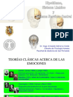 T8-Hipotálamo, PDF