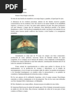 Biología Del Conejo