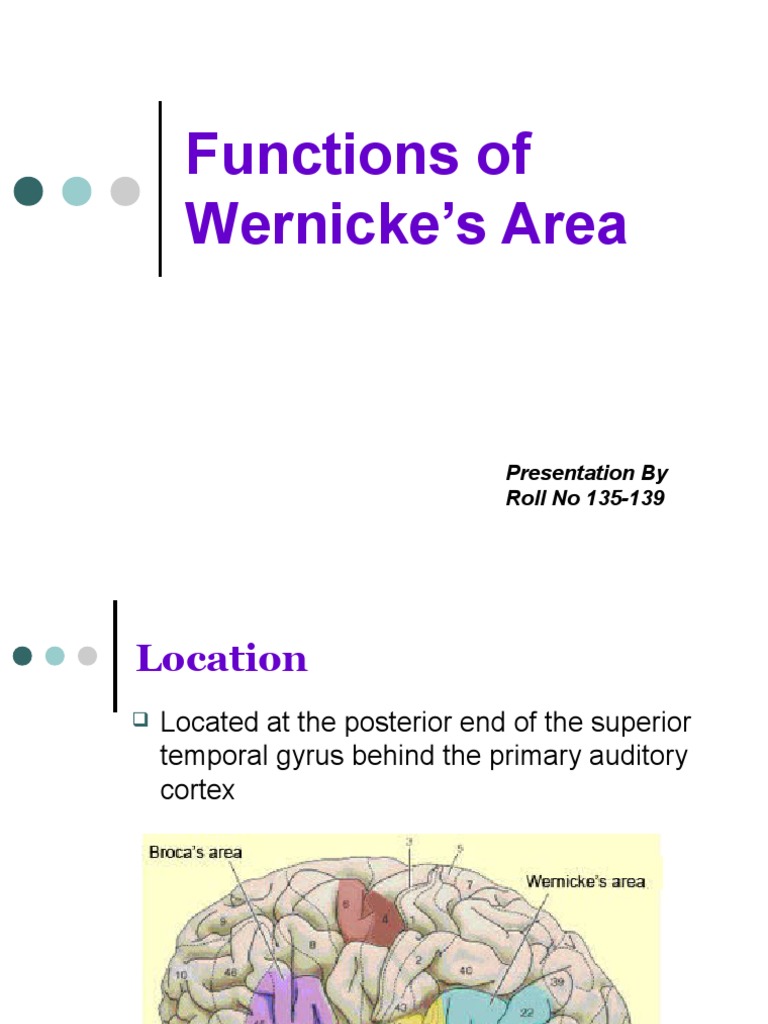 Functions of Wernicke's Area PDF