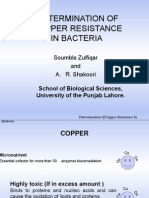 Determination of Copper Resistance in Bacteria