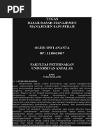 Laporan Pkl Peternakan Sapi Potong