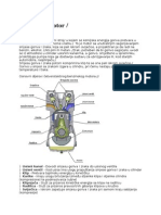 Benzinski Motor 