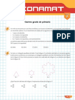 5P F PDF