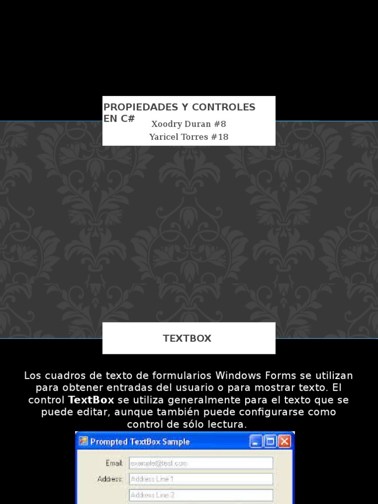 Propiedades del Control TextBox en C# | PDF