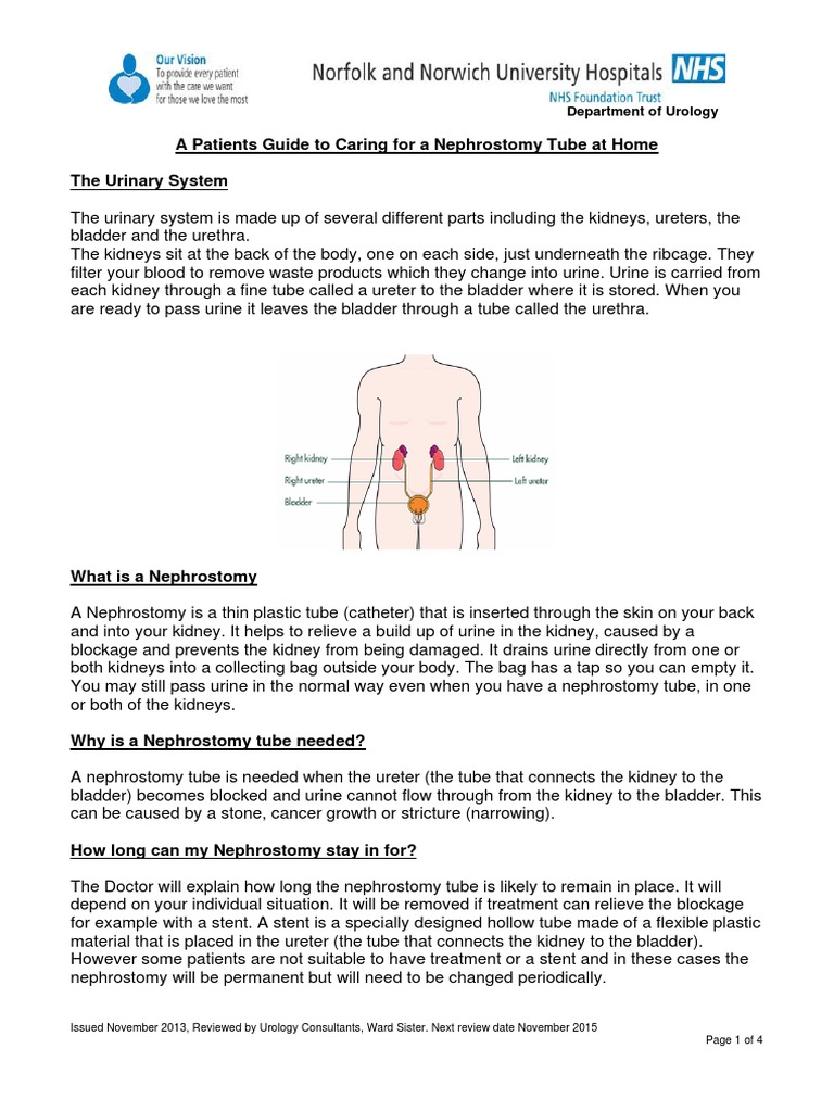 Caring For A Nephrostomy Tube at Home | PDF | Urinary System | Urinary ...
