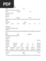 Download Cinchonae Cortex by Miranda Roza Lavenia SN283528489 doc pdf