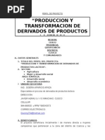 Perfil de Proyecto de Lacteos Pitumarca