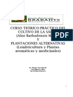 Cultivo de Sabila Curso