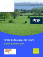 a greener future.pdf