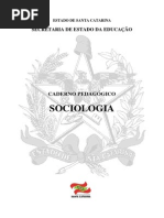 A Sociologia No Brasil