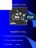 Hepatiitti A Virus