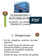 OLEAGINOSAS Y BIOCOMBUSTIBLE- CLASE 3.ppt
